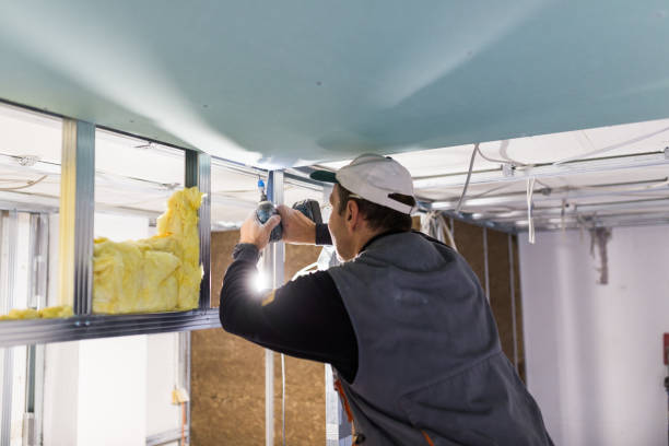 Best Insulation Maintenance and Repair in Rock Island, IL