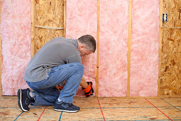 Best Energy Efficiency Solutions in Rock Island, IL